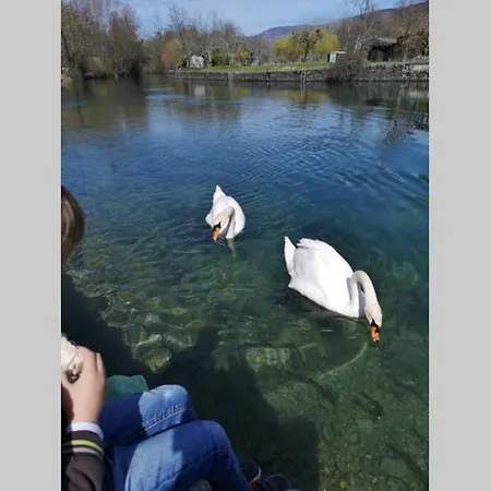 Le Portougais, A Chanaz, La Petite Venise Savoyarde *